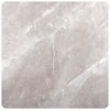 muestra atenea gris