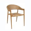 sillon osaka medula atlas
